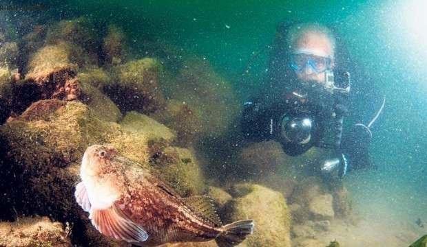 Fil Burnu’nun dibinde umut ışığı