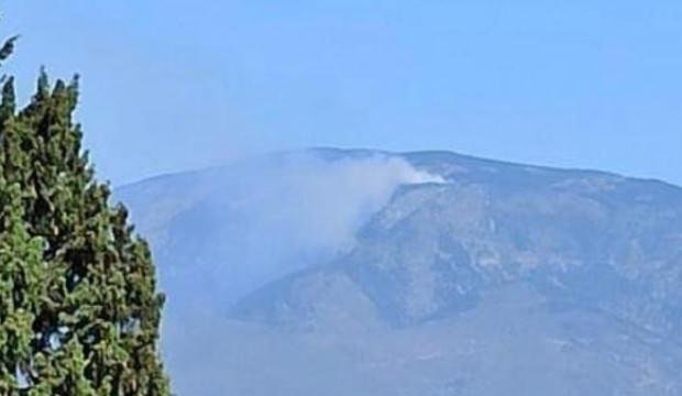 Hatay’da orman yangını