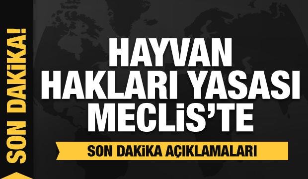 Hayvan Hakları Yasası için Mahir Ünal’dan son dakika açıklamaları