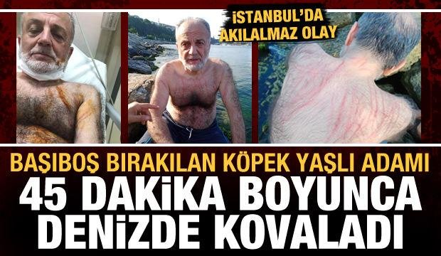 İstanbul’da akılalmaz olay: Başıboş köpek, yaşlı adamı denizde 45 dakika kovaladı