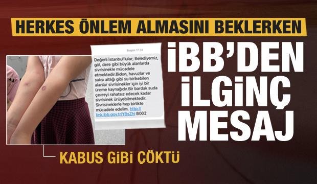 İstanbul’da sivrisinek kabusu! İBB önlem almak yerine bakın ne yaptı!