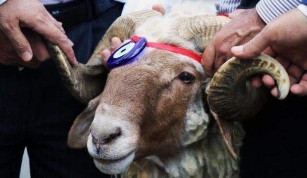 Kurban Bayramı öncesi ‘sahte para’ uyarısı