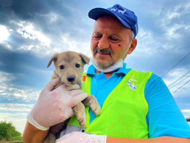 Sokak hayvanlarının Ekrem amcası şefkatiyle örnek oluyor