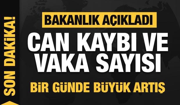 Son dakika: 17 Temmuz koronavirüs tablosu! Vaka, Hasta, ölü sayısı ve son durum açıklandı