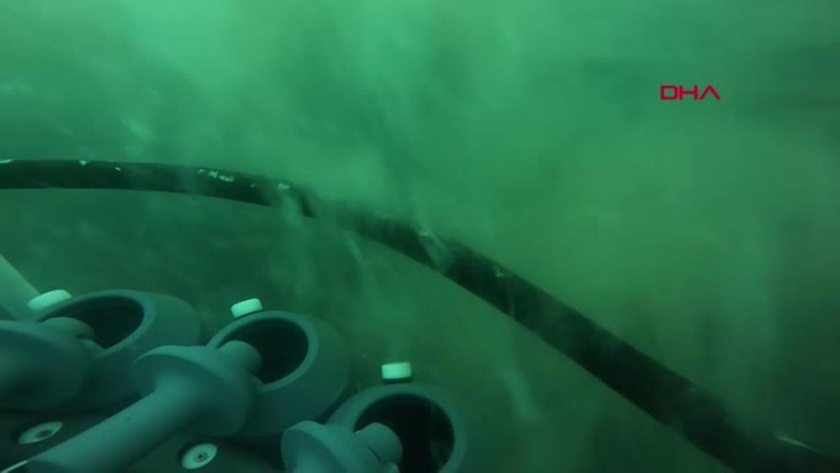 Son dakika haberleri! MÜSİLAJ SAVAŞÇISI 11 BİLİM İNSANI MARMARA’YI TARIYOR -1