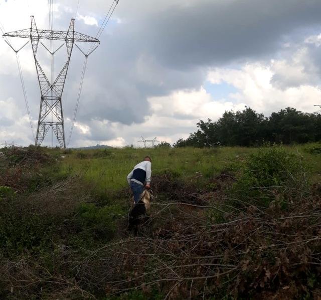 Son Dakika | Mağaraya düşen keçi için zorlu kurtarma operasyonu