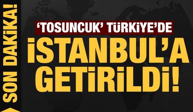 Son dakika: ‘Tosuncuk’ Türkiye’de: İstanbul’a getirildi!