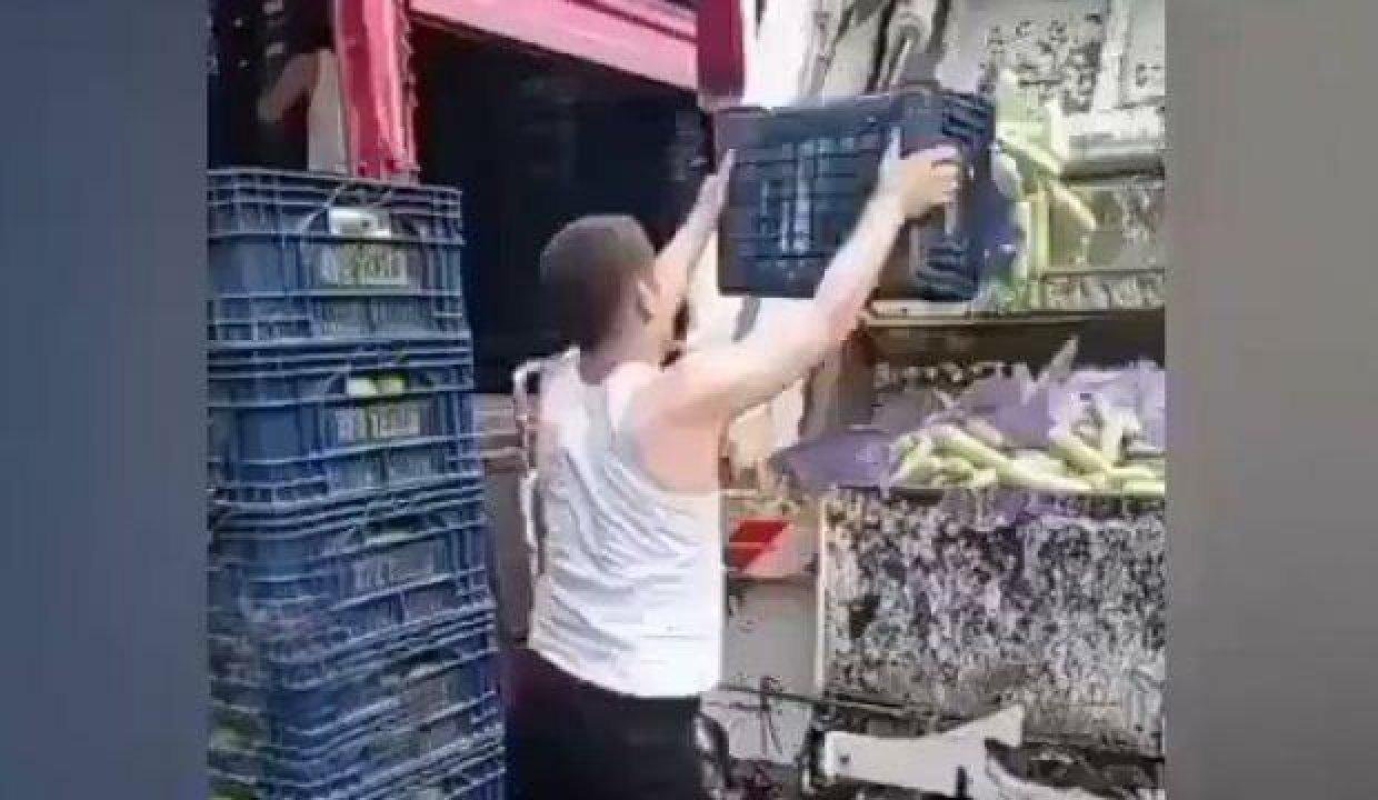 Çöpe dökülen tonlarca sebzede fatura mülteciye kesildi