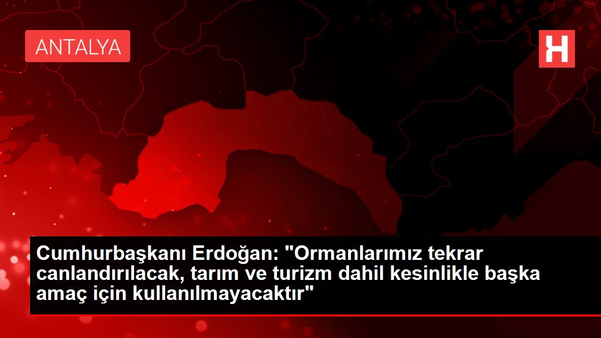 Cumhurbaşkanı Erdoğan: “Ormanlarımız tekrar canlandırılacak”