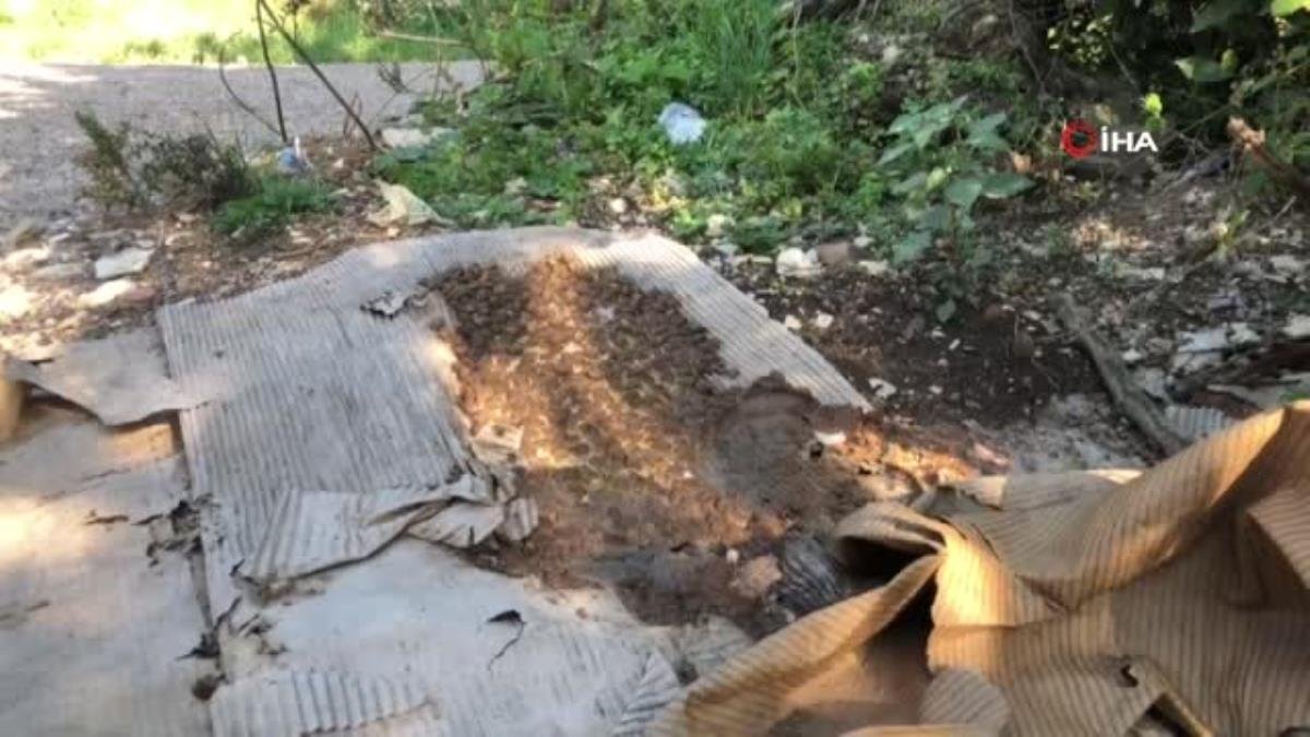 “Doğaya bilinçsizce bırakılan köpek mamaları sağlığı tehdit ediyor”