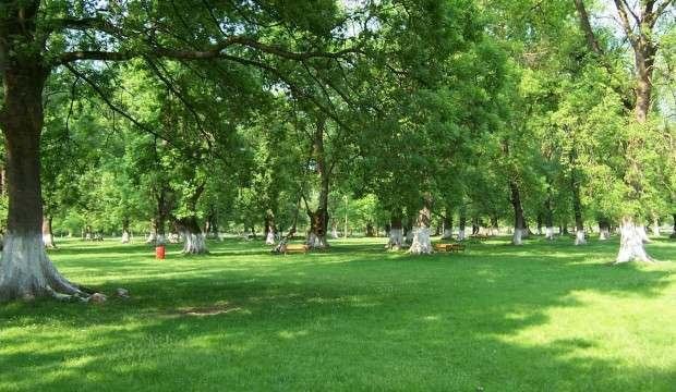 Düzce Belediyesi’nden alkış alan hareket! Sağlıkçılara vefa