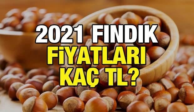 Fındık fiyatı ne zaman açıklanacak? Kabuklu 2021 fındık fiyatları kaç TL?