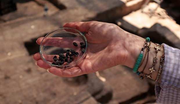 Hatay’da topraktan fışkırdı: 4 bin 300 yıllık…