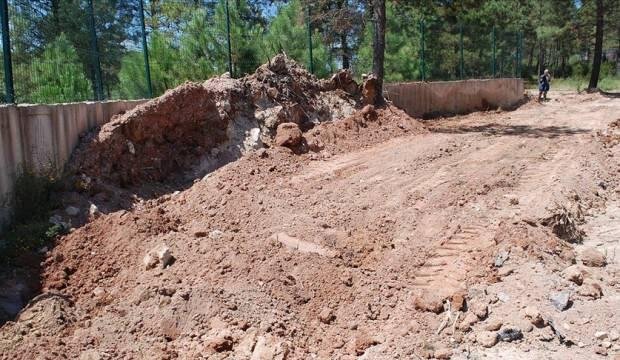 İBB’nin ölü hayvanları gömülmeden bekletmesine tepkiler sürüyor!