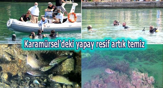 İzmit Körfezi’nde müsilajın etkisi azaldı