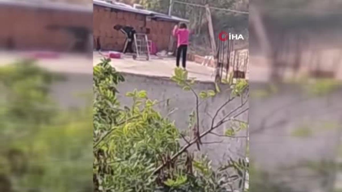 Kediye yapılan işkence “pes” dedirtti