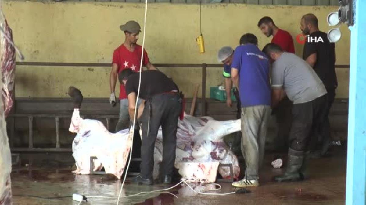 Kesimhanelerde yoğunluk sürüyor