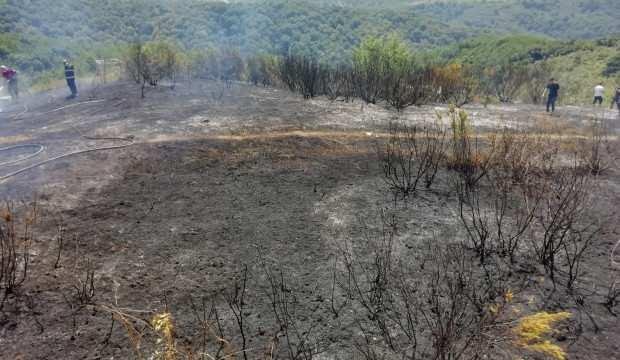 Orman Genel Müdür Yardımcısı Özkaya: Yangınlarda küresel ısınmanın etkisi var
