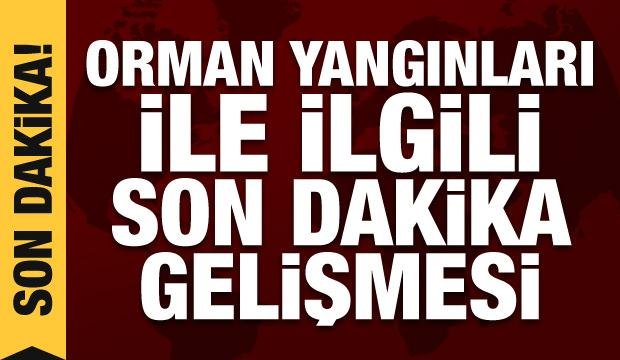 Orman yangınlarıyla ilgili son dakika gelişmesi