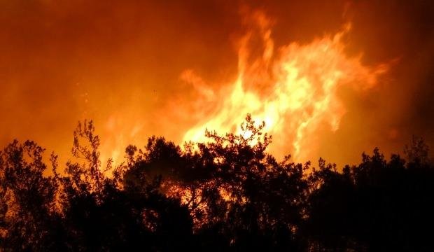 Osmaniye’deki yangında kundaklama şüphesi! 5 şüpheli gözaltına alındı