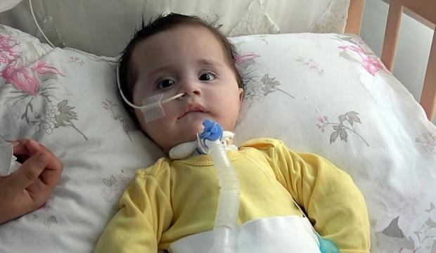 SMA hastası Zeynep bebek için toplanan parayı çaldılar