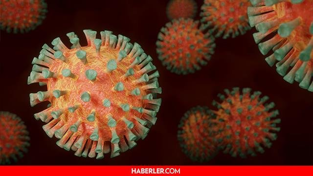 SON DAKİKA: 18 Ağustos vaka sayısı açıklandı! Bugünkü korona tablosunda son durum paylaşıldı! İşte 18 Ağustos 2021 korona tablosu!