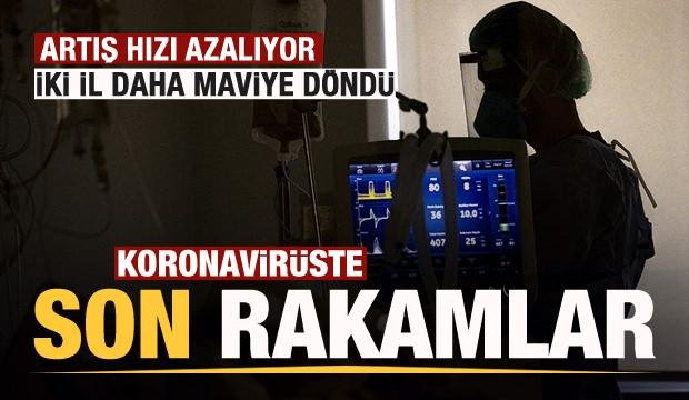 Son dakika: 2 Ağustos koronavirüs tablosu açıklandı! Artış hızı azalıyor! 2 il daha mavi