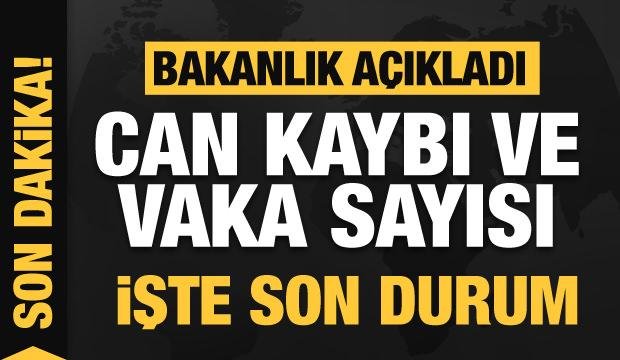 Son dakika: 31 Temmuz koronavirüs tablosu açıklandı!