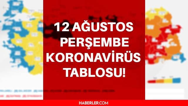 Son dakika: Bugünkü vaka sayısı açıklandı mı? 12 Ağustos 2021 koronavirüs tablosu yayınlandı! Türkiye’de bugün kaç kişi öldü?