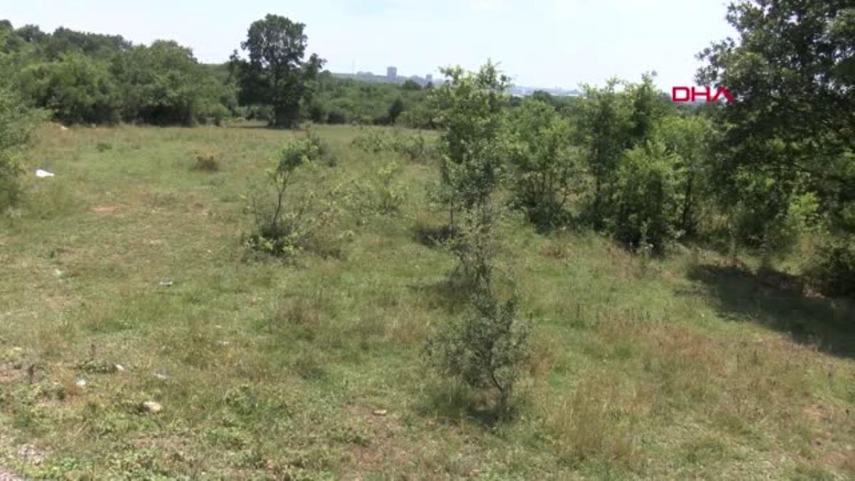 Son dakika: GENÇ KIZA CİNSEL İSTİSMARA KALKIŞIP, BAŞINA TAŞLA VURDU; YARDIM İSTEYİP BAŞINDA BEKLEDİ -2
