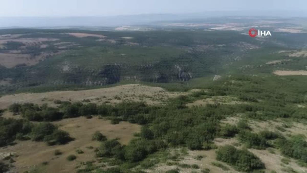 Son dakika haber… Bilecik, ‘yangın gözlemcileri’ 7/24 tetikte