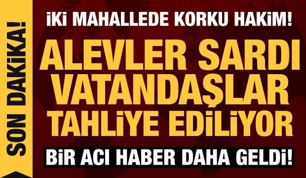 Son dakika haberi: Bodrum ve Manavgat’ta iki mahalle alevler arasında kaldı, bir ölü var!