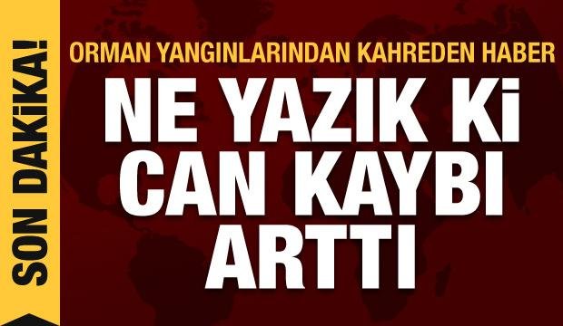Son Dakika Haberi: Orman yangınlarından kahreden haber! Ölü sayısı arttı