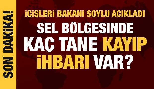 Son dakika haberi: Sel bölgesinde kaç tane kayıp ihbarı var? Bakan Soylu açıkladı