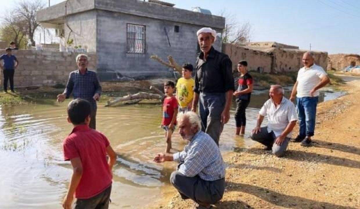 Taban suyu yükseldi: İki mahalle su altında kaldı