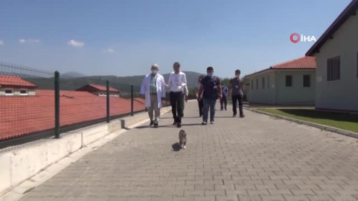 TVHB Başkanı Eroğlu: “Veteriner hekimlerimiz canla başla çalışıyor”