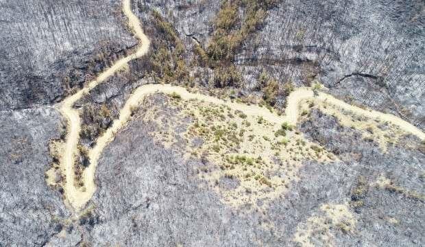 Yanan ormanlarda sel ve erozyon tehlikesi