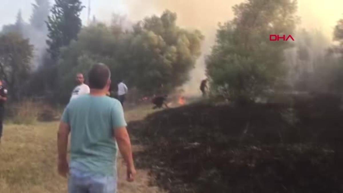 YERE ATTIĞI SİGARA OTLARI YAKTI, TUTUKLANDI