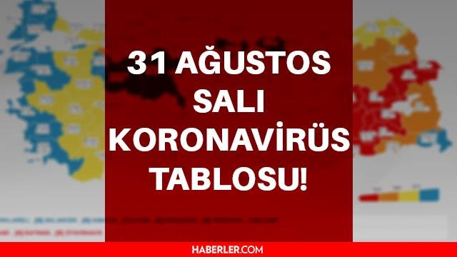 31 Ağustos Salı 2021 korona tablosu… Bugünkü corona vaka sayısı açıklandı! 31 Ağustos koronavirüsten kaç kişi öldü?