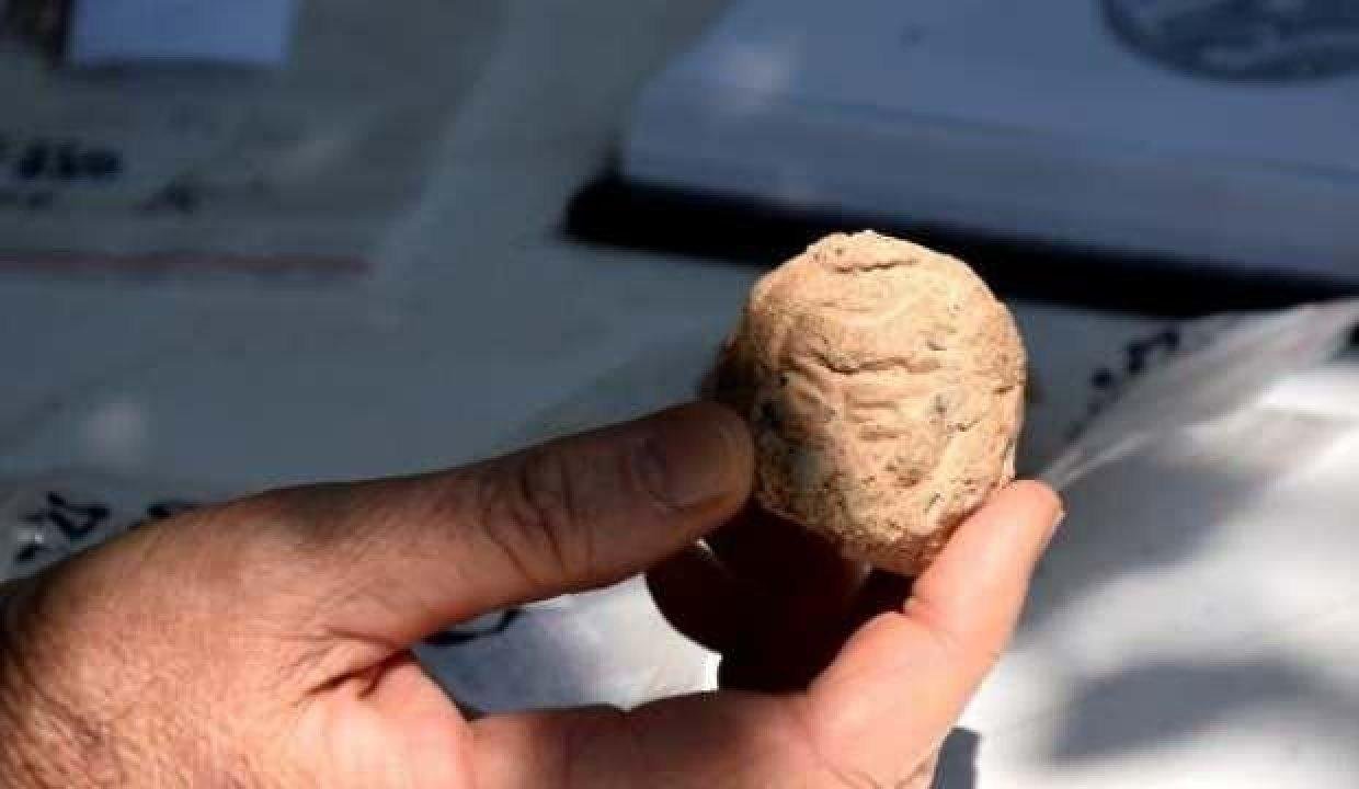 Arslantepe’de 5 bin 621 yıllık 250 mühür bulundu