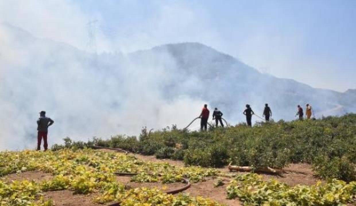 Bitlis’teki örtü yangınına müdahale sürüyor