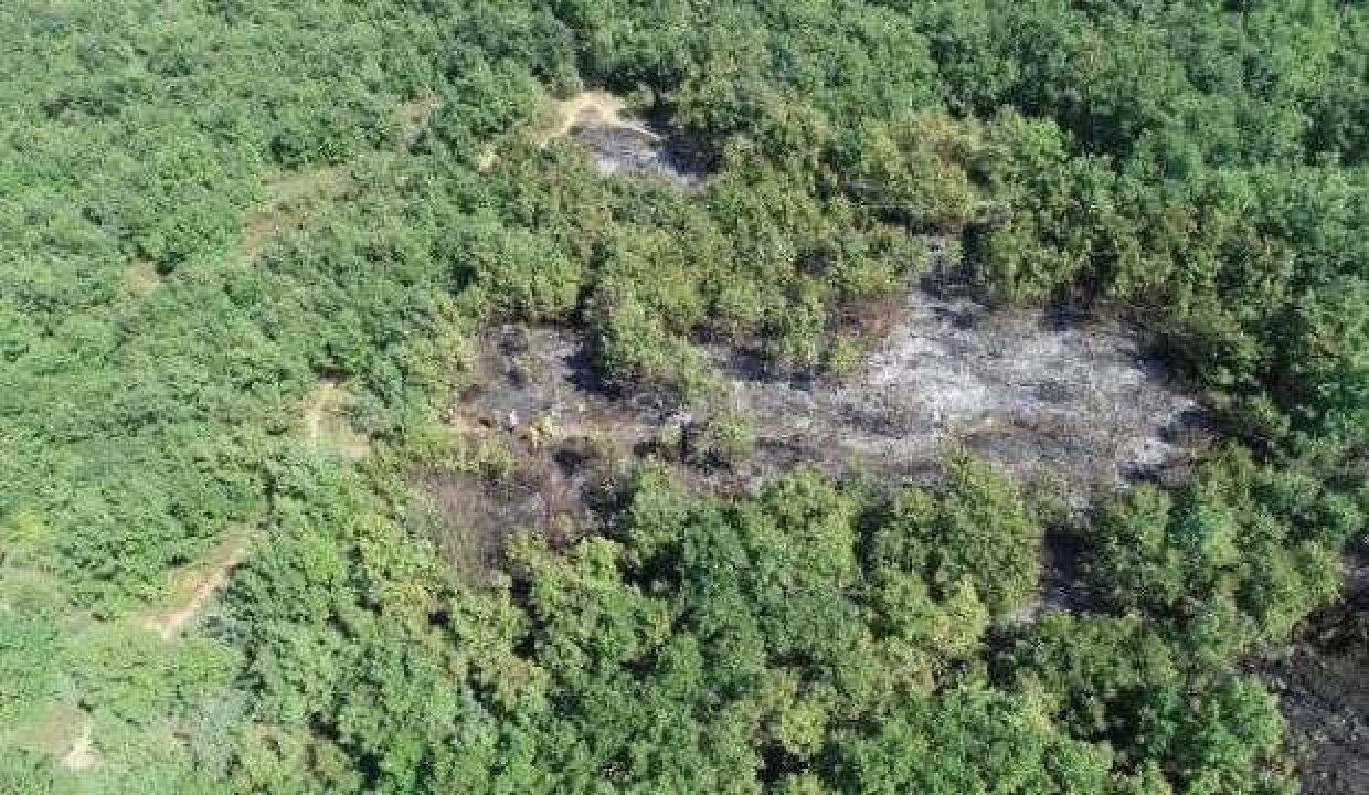Bursa’daki orman yangını söndürüldü