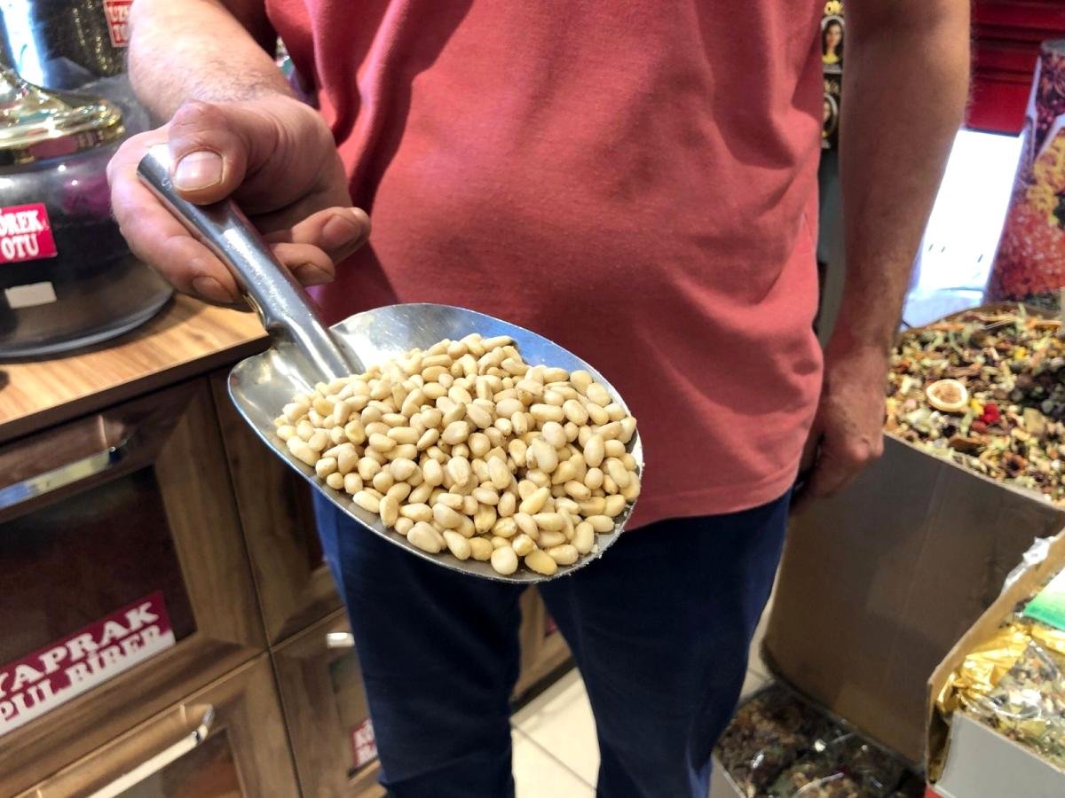 Çam fıstığı çeyrek altınla yarışıyor, kilosu 700 lira
