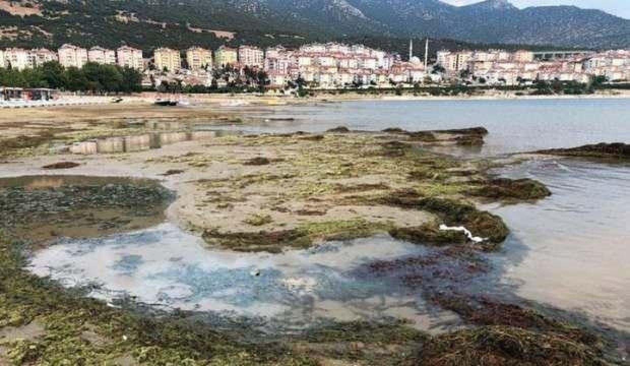 Eğirdir Gölü’nde görülmemiş kirlilik: Bırakın içmeyi, parmağınızı dahi sokmayın!