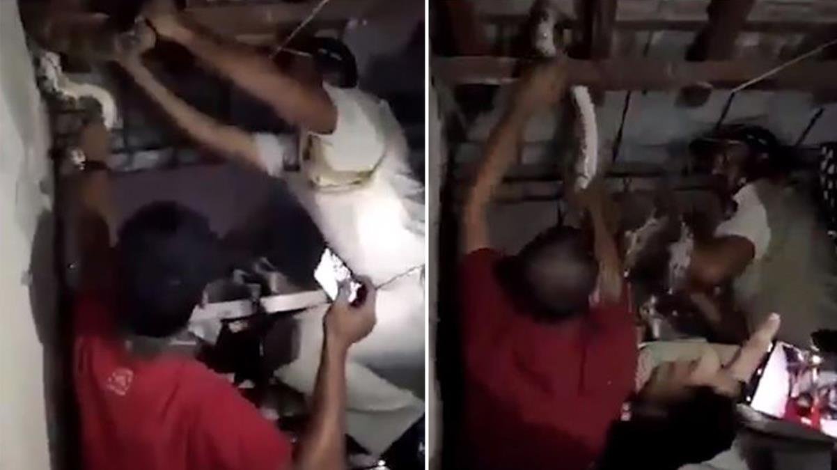 Evin çatısından gelen çıtırtıya koştular! Polis ekipleri dev yılanı zor kontrol altına aldı