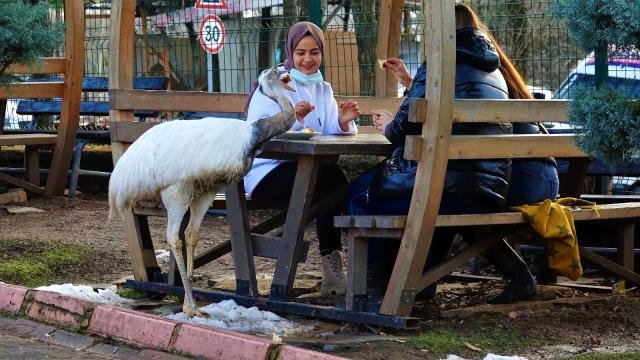 Hırsızlığı sonu oldu