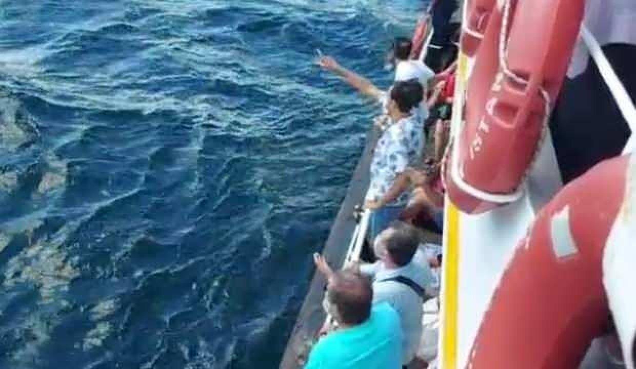 İstanbul’da can pazarı: Vapurdan düşerek hayatını kaybetti