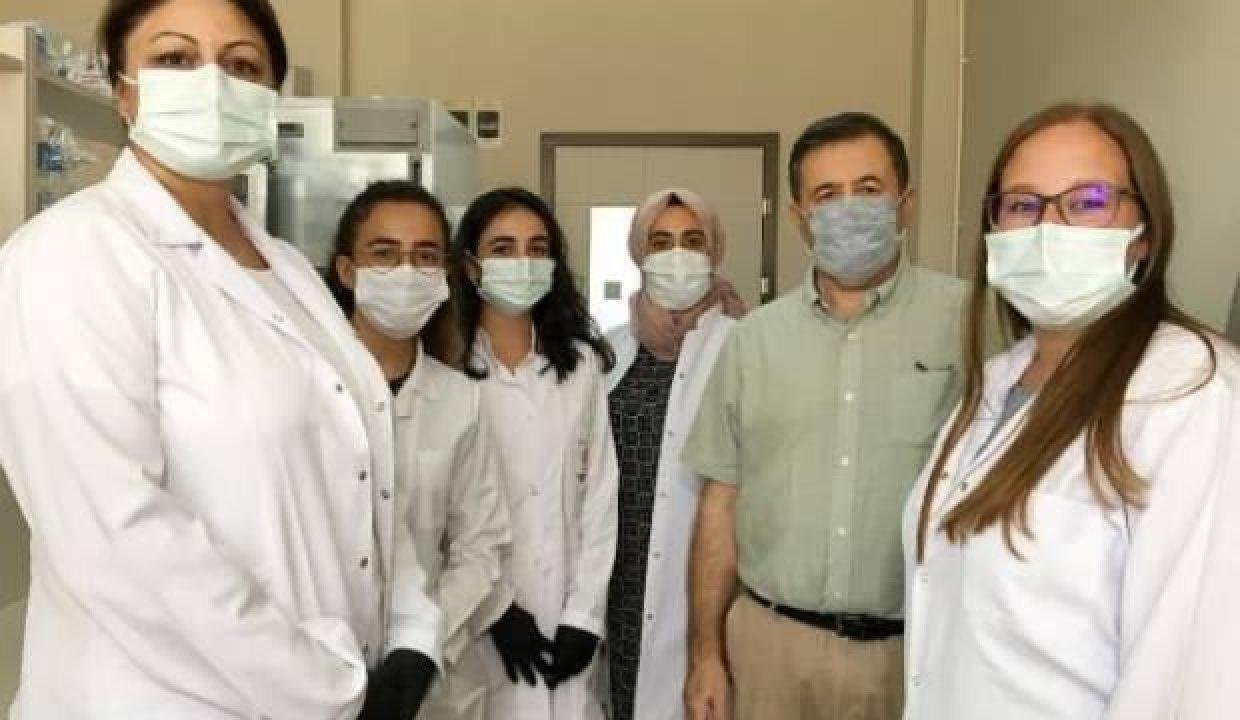 ‘Kokteyl aşı’ insan deneylerine hazır