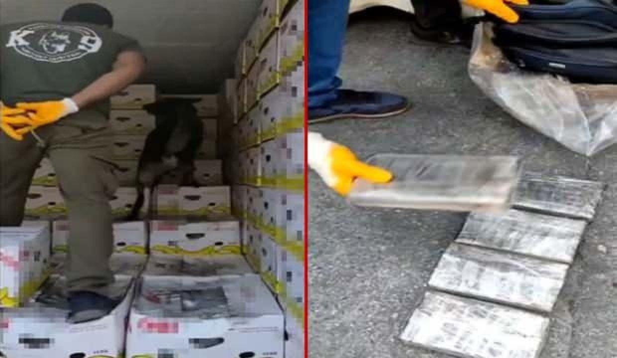 Mersin Limanı’nda 30 kilo kokain ele geçirildi