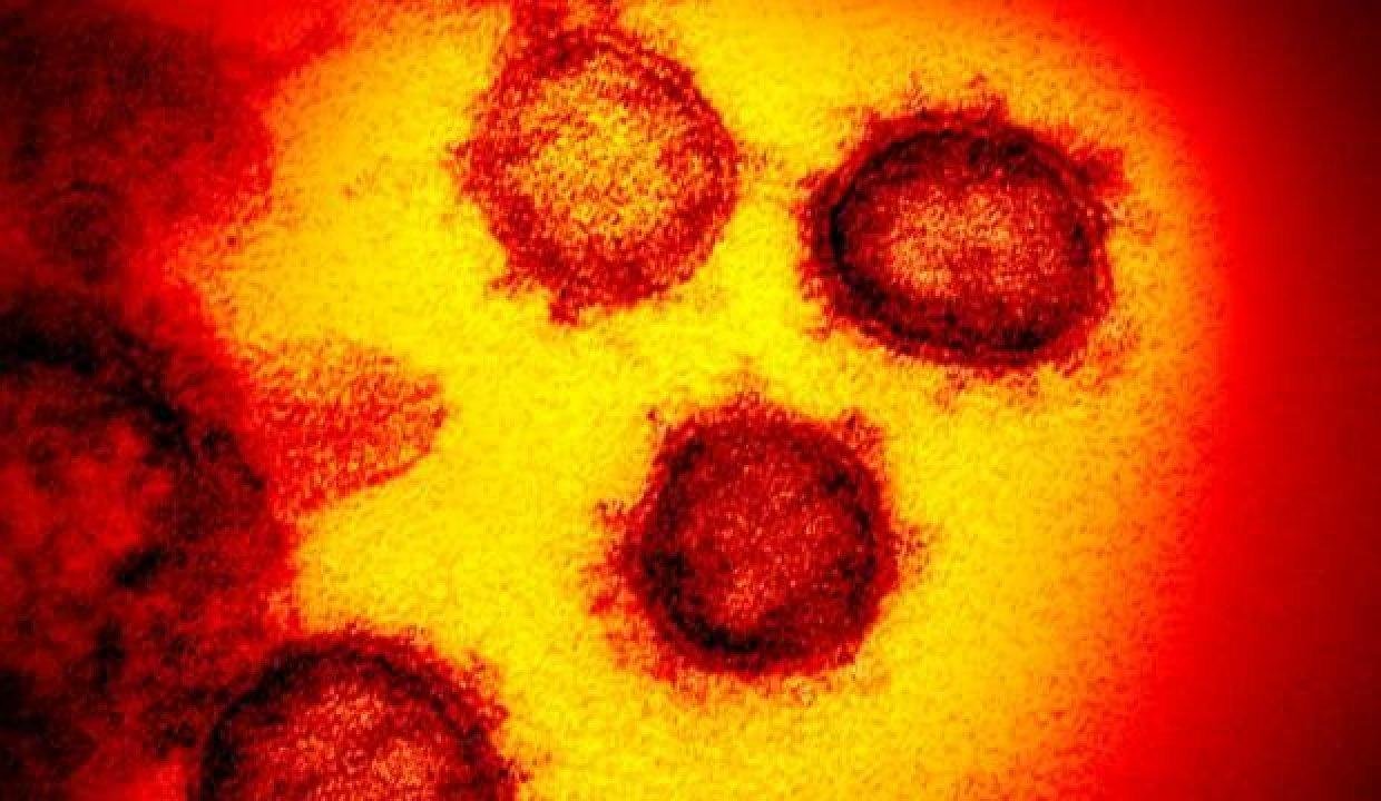 “Mu” varyantında “Beta-Gama-Delta” izleri